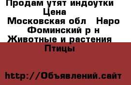 Продам утят индоутки.   › Цена ­ 350 - Московская обл., Наро-Фоминский р-н Животные и растения » Птицы   